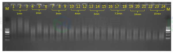 1667539332353489.png 61.png