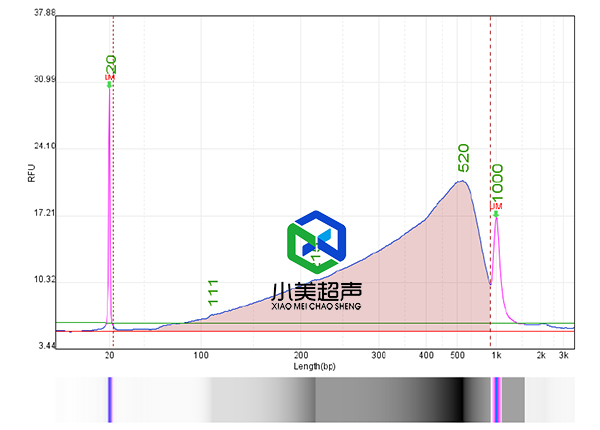 1757482609660511.jpg 9-10-5.jpg